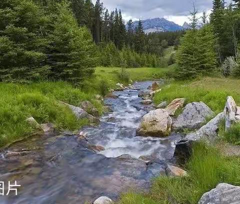 高山溪流美