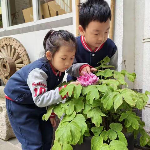 【市二幼～国画活动】谷雨时节 赏花绘牡丹