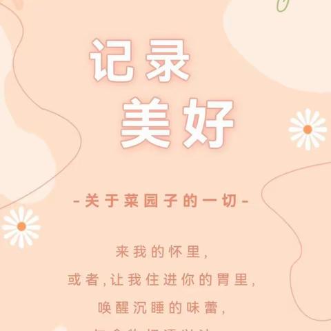 【新华区柏林幼儿园】“茄子王国”奇遇记