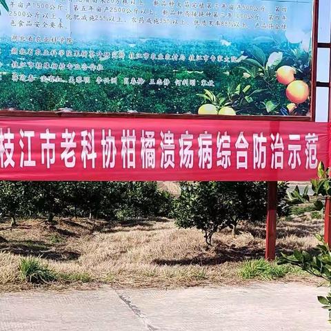 把课堂搬到田间，为农民排忧解难