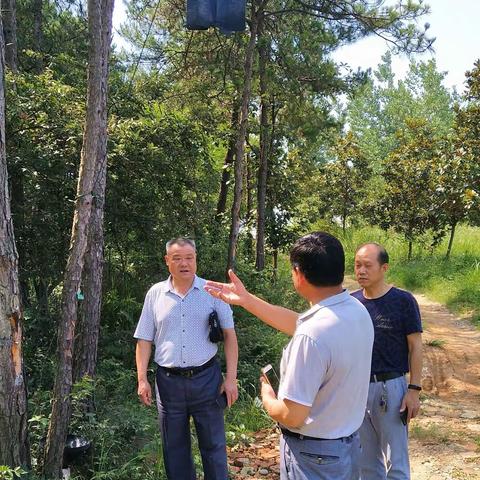 枝江老科协专家到横溪河村技术指导