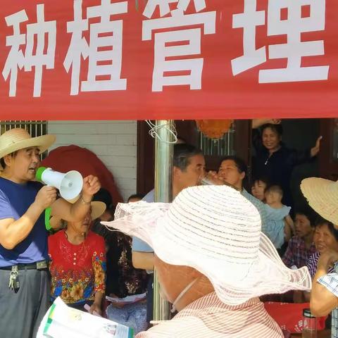 农业专家扶贫到金龙，农民头顶烈日来听课