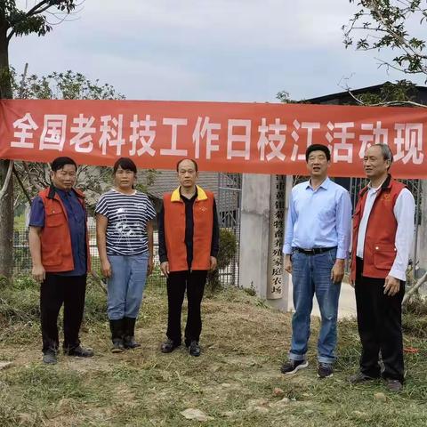 枝江老科协这样过全国老科技工作者日