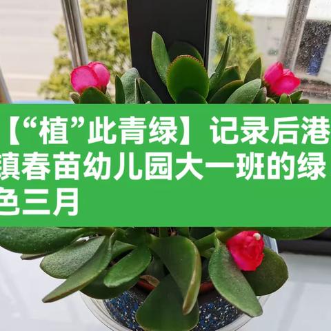 兰兰的美篇