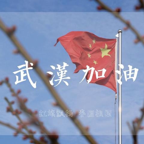 众志成城，抵抗病毒。我们一起努力——南街小学三年级(3)班