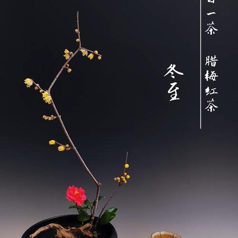 茶与花