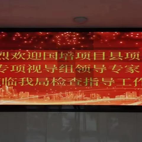 精准视导指方向 齐心协力促国培——河南省教育厅视导组到商城县开展“国培计划（2022）”项目县专项视导工作