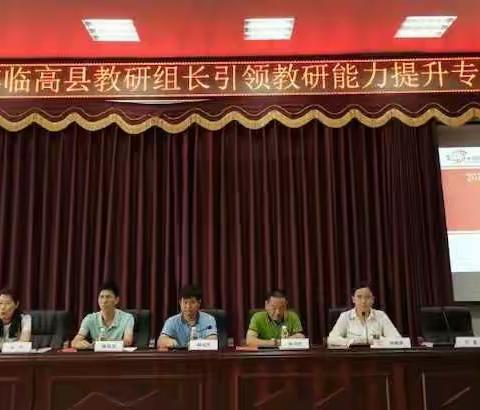 2019年临高县教研组长引领教研能力提升专题培训