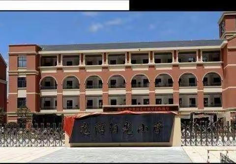 助力成长，扬帆起航——记2020新教师第三次培训之阳光小学