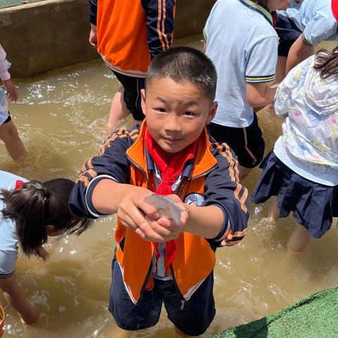 向野而生，行走的课堂——江夏区文化路小学三年级研学之旅