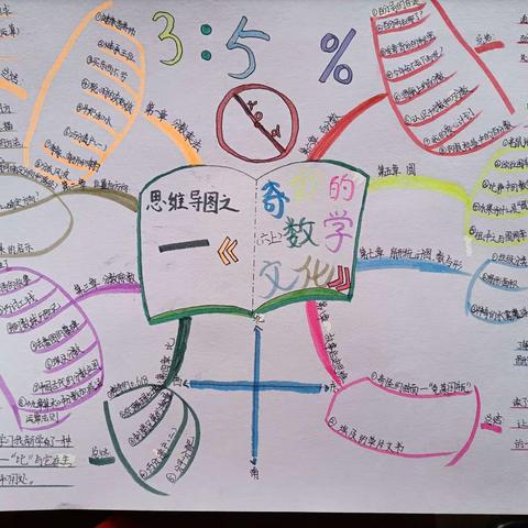实验小学六四班优秀数学小报&思维导图