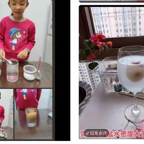 【大雁塔小学“名校+”共同体】“双减”春风进课堂  动脑动手我能行———大雁塔小学科学学科云教学纪实