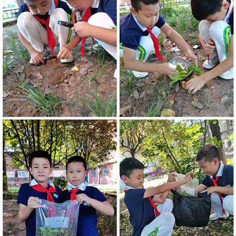 大雁塔小学“双减”工作纪实系列报道（科学篇）