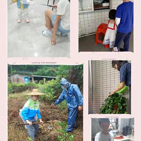 劳动淬炼成长 实践创造幸福——沧中附小六年级“劳动最光荣”主题劳动周报道