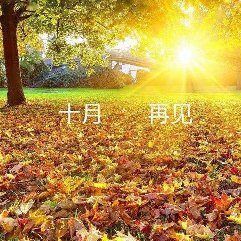 育智幼儿园中一班10月份精彩瞬间