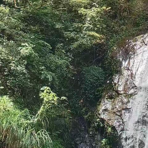 秀萃洪山游目客来过溪处，腴含山水怡情正及采茶！