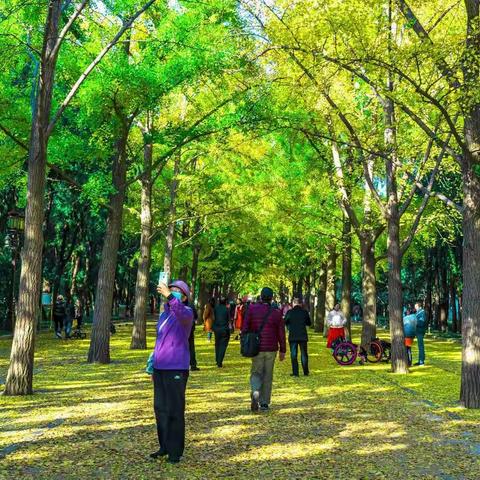 京城遍地黄金甲