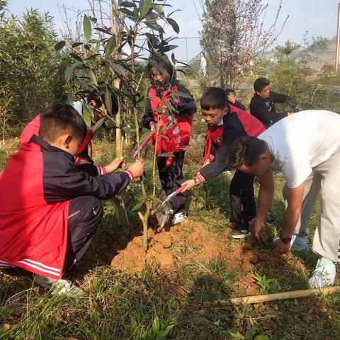 良村镇中心小学“齐行动，共护绿”植树节主题活动