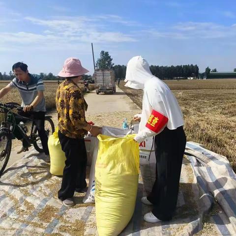 市场监督管理局老城镇菜李村第一书记助力三夏抢收