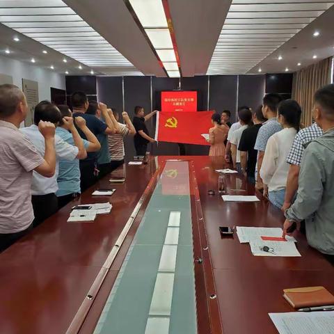 综合执法大队党支部组织开展“重温入党誓词  不忘入党初心”主题党日活动