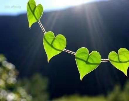 崇文重教，泽润桑梓——郝寨镇韩庄小学爱心助学捐赠仪式纪实