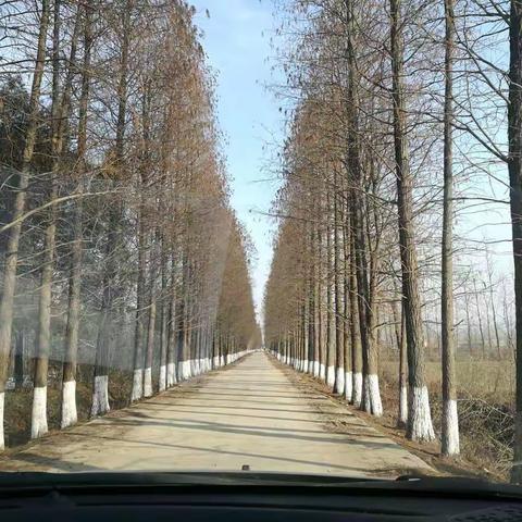 大美彭桥（副本）