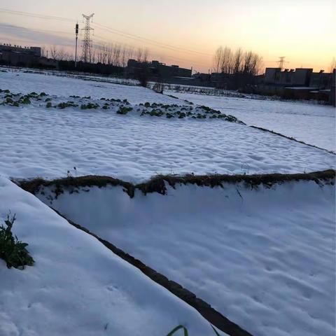 我们劳动我们快乐！