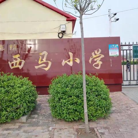 回眸中展望 砥砺中奋进—辛集镇西马小学2022年工作回顾