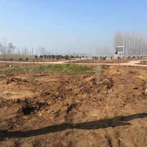 内黄梁庄游园  助力乡村振兴