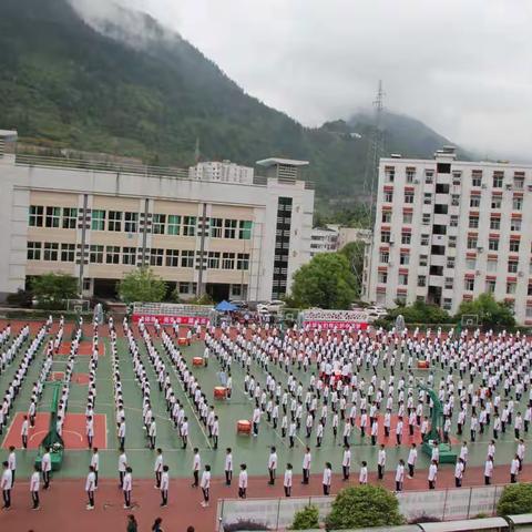 实中学子显风采 协同教研见成效