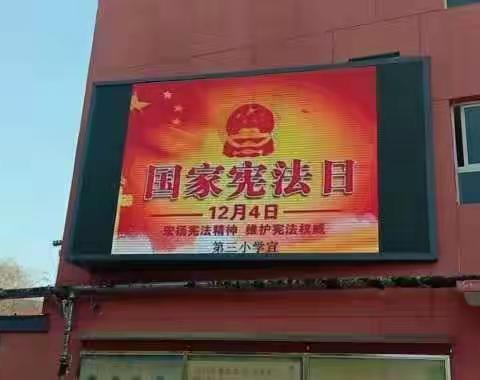 第三小学开展“宪法主题系列活动”感受宪法的尊严