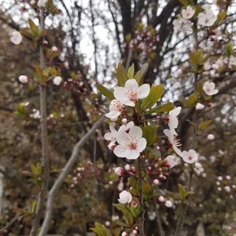 三月百花满校园 思政赛教勇争先