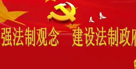 建设法治政府                           推进依法治国
