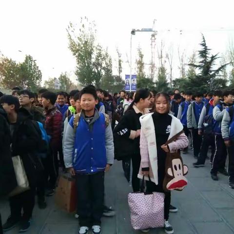 社会实践我们就出发