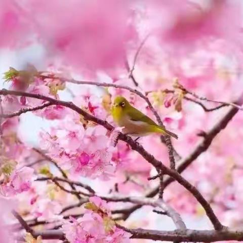 2024年春游线路集锦