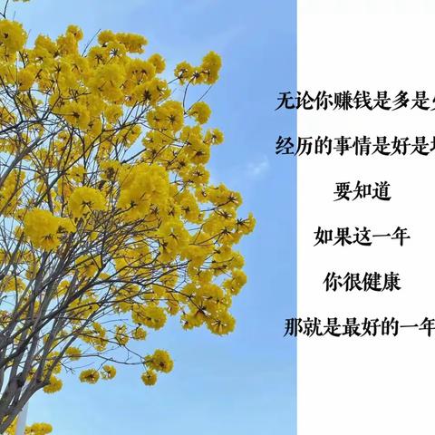 春意盎然，线上开花🌼——记立外初中语文组第六周线上教学