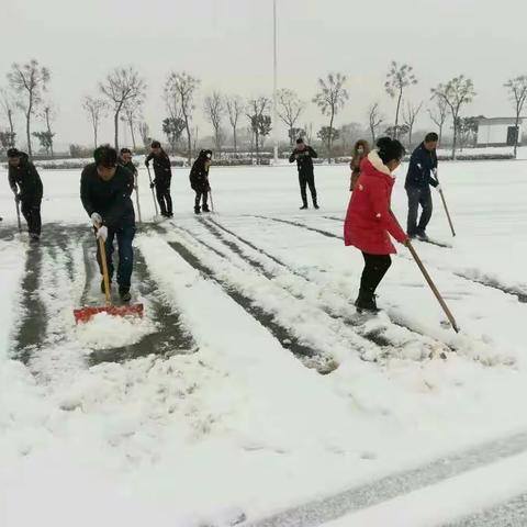 天寒地冻人心暖___泾河新城农林水局“除冰扫雪”纪实