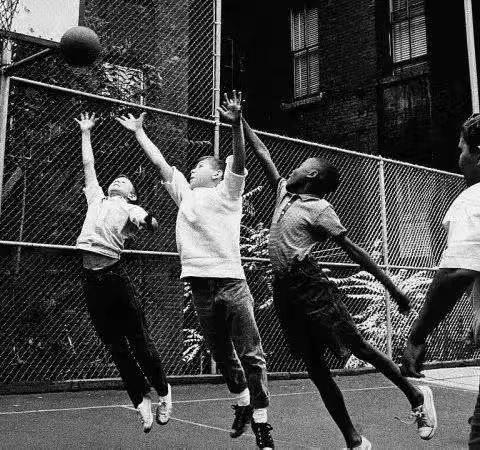 冯有源课标学习心得分享