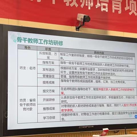 “潜心研修促内化，辐射引领助发展”——南阳师院省培学习之“师带徒”网络研修学习活动纪实