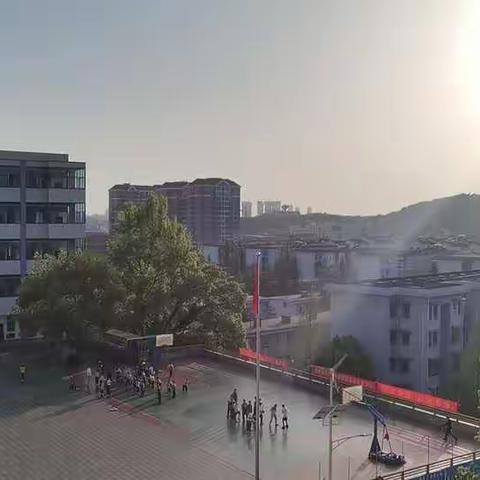 253班的小小花园