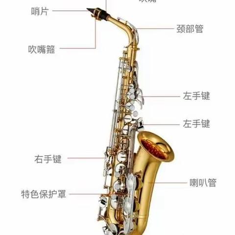 情醉午夜萨克斯🎷--沂水县实验小学萨克斯社团