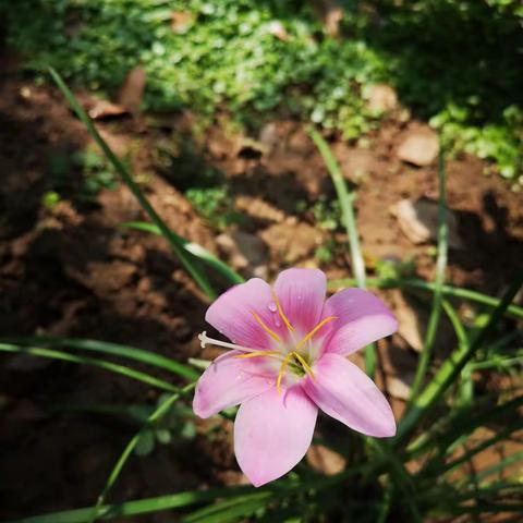 汗水浇开幸福花