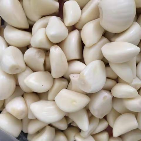 潍坊七中3月26日收货