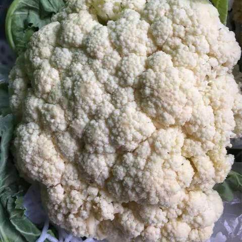 潍坊七中1月24日收货