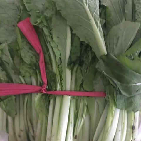 潍坊七中3月28日收货