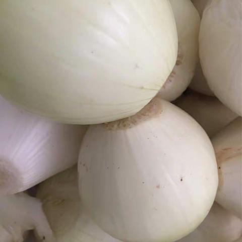 潍坊七中4月8日收货