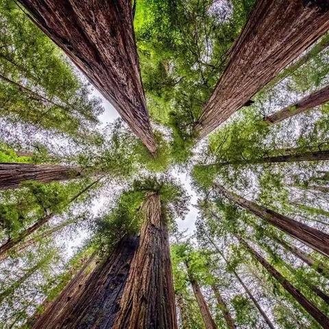 青春是一本太过仓促的书