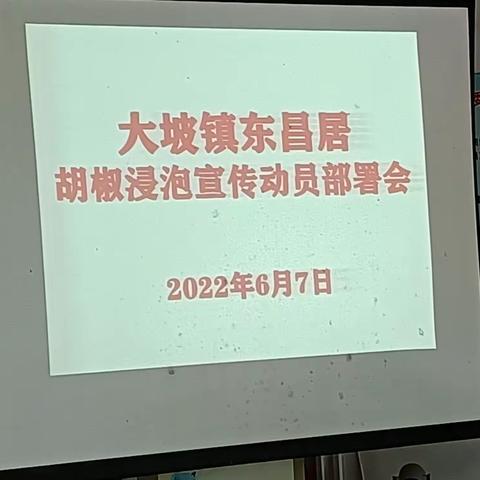 大坡镇东昌居召开胡椒浸泡宣传动员部署会（副本）