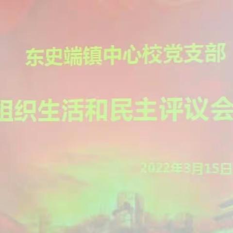 东史端镇中心学校党支部组织生活和民主评议会议