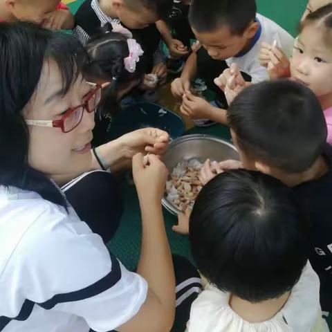 《走进生活 探究科学》立体幼儿园大班小朋友种植大蒜活动